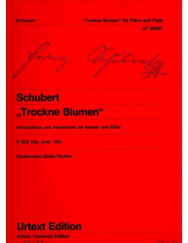 Schubert introduzione e variazione...